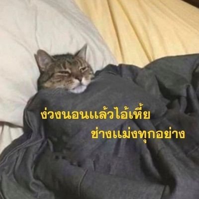 เจอเรื่องห่าเหวไรมาช่างมัน ขอเบียวก่อน