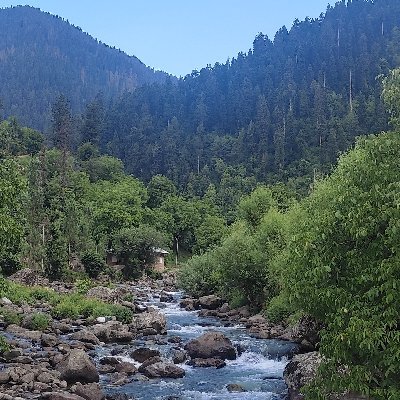 KashmiriNayeem's profile picture. The woods are lovely, dark and deep,   
But I have promises to keep,   
And miles to go before I sleep,   
And miles to go before I sleep.