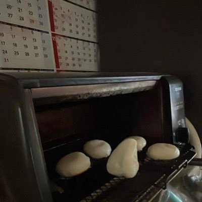 M1o_y0's profile picture. 🐕 が好きです