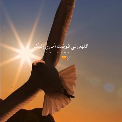 shallaaljanna's profile picture. يا رزاق يا ذو القوة المتين🤲🏻🥹.