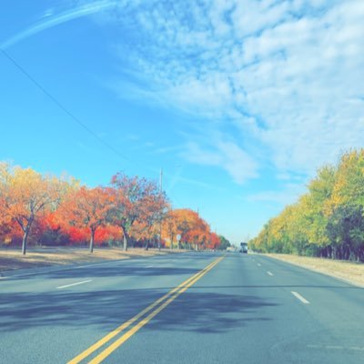 almousaa0's profile picture. 