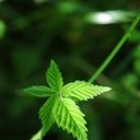 satish kashyap - @satishk112211 - Twitter