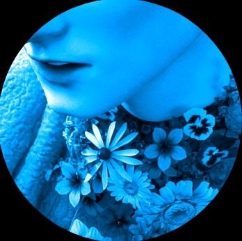3D Artist