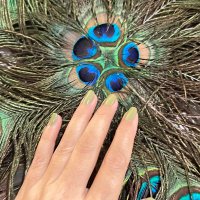 ❤️ Tweety Bird ❤️ (@tahiratalib) 's Twitter Profile