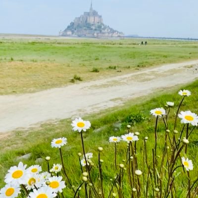 BuergoLaura's profile picture. Moi même