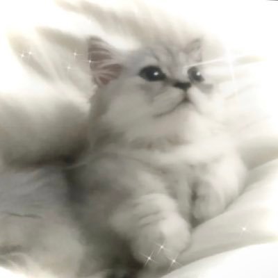 S4kiiさんのプロフィール画像