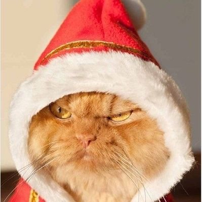 _Dasha_0_'s profile picture. Привет привет, меня зовут Даша, а тебя как? будет приятно познакомиться😉 удачи😊