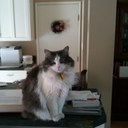 Carlene Sutherland - @Carly422 - Twitter