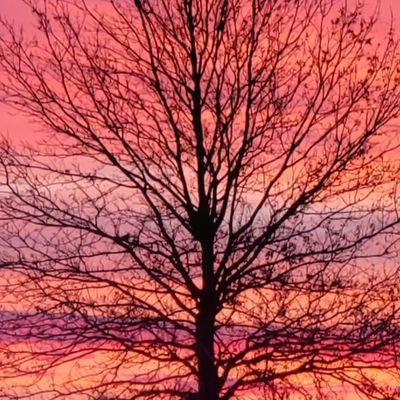 introtuitive's profile picture. “Listening is where love begins: listening to ourselves and then to our neighbors.” - Mr. Fred Rogers------  I listened. Tweeting decreased my happiness.-Jason