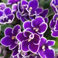 Bilgiç (@bilgi94181242) 's Twitter Profile Photo