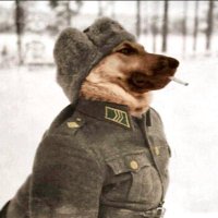 The ghost of D.B. Cooper (@dirtydave39) 's Twitter Profile