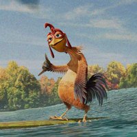 Cocky(#1 GamecockDave fan) (@cocky2023) 's Twitter Profile