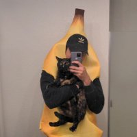 Leo (@leothaweechok) 's Twitter Profile