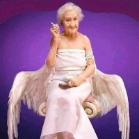 Finallyfreebird (@finallyfreetwit) 's Twitter Profile