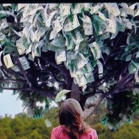 Melissa Rush (@melissarush2007) 's Twitter Profile