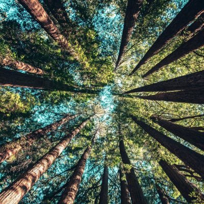 officiallywoody's profile picture. The fireplace & Stove experts, AVFC, Golf, F1 and Dad, Son 💜💙