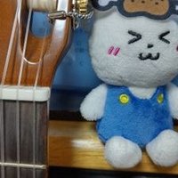 かこうあかさ (@kakoua_mandolin) 's Twitter Profile