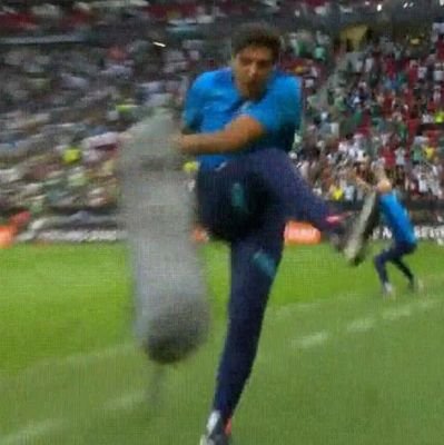 ojoao_sousa's profile picture. torcedor do @palmeiras 💚