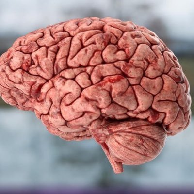 LoolivashVet's profile picture. #bitcoin