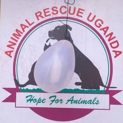 Our mission-to save the abandoned&neglected animals from the streets and provide treatment&shelter Our goal is to find a loving heart & home to saved tails.