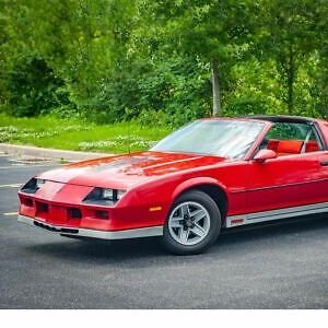 openZ28's profile picture. Z28.310: Immunization not carried out | Political % orphan | Pride comes before the downfall | Unabashed Garbage Deplorable |