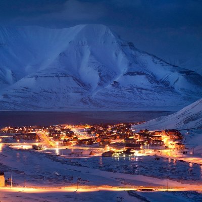 Carpediemwonder's profile picture. Pentester