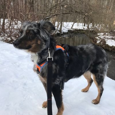 csusme's profile picture. https://t.co/bQah9cpZtW