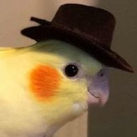 matheus (@robotheus) 's Twitter Profile
