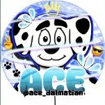 Ace Dalmatian(@ace_dalmatian) 's Twitter Profileg