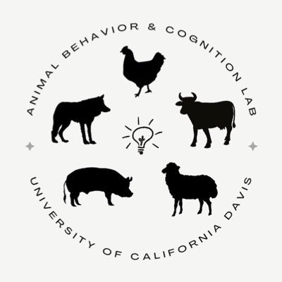 Dr. Kristina Horback's ethology/cognition/psychology lab 🐮 We study animal minds to improve animal welfare 🐑🐖🐺