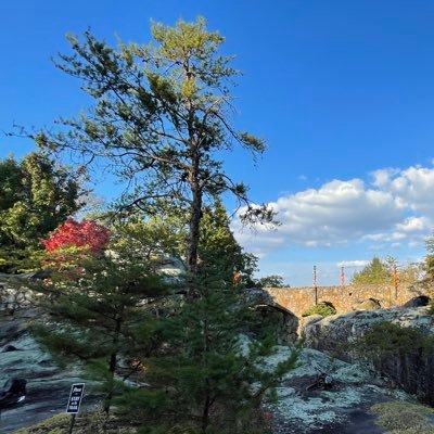 a_uemma's profile picture. 