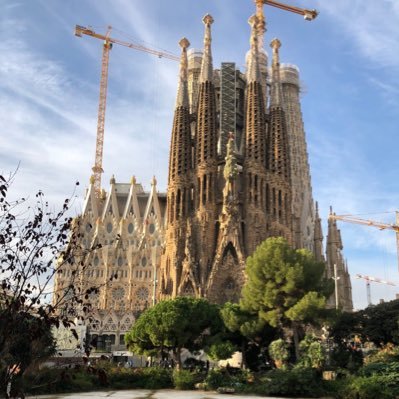 samurai071225's profile picture. 東京 07(15)wimperです RADWIMPS/神はサイコロを降らない/れん のライブに行くことが生きがいです 無言フォロー失礼します🙇