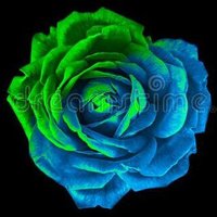 🩵Love🩵 (@goofiedvil) 's Twitter Profile