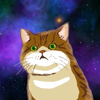 sesamegg's profile picture. 人生迷走中のアラフォー元役員