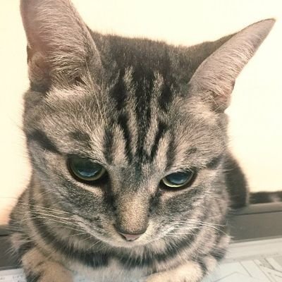 ひぃなさんのプロフィール画像
