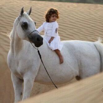 مُهتمه بالقانون وقضايا المجتمع⚖️.مُستشاره في فن التسويق والاعلام⬆️