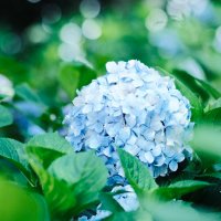 ottotto (@ottotto_photo) 's Twitter Profile Photo ottotto (@ottotto_photo) 's Twitter Profile Photo