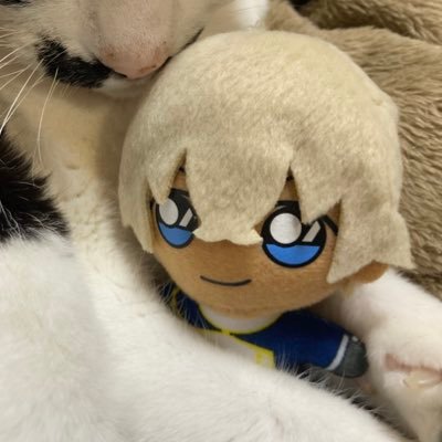 20歳↑。fryさん推しの降風固定な小説書きます。無言フォロー失礼いたします。素敵な作品をありがとうございます。降風https://t.co/7X8nyo3EVM 降風🔞https://t.co/wwyvR9POru