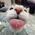 Wagoogus (@wagoogusw) Twitter profile photo Wagoogus (@wagoogusw) Twitter profile photo