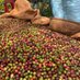 Food trader (@foodtrader1job) Twitter profile photo Food trader (@foodtrader1job) Twitter profile photo