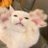leterxg's profile image