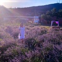 Pervin Öztar (@pervinin) Twitter profile photo