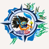 SeyBluefloat(@SBluefloat) 's Twitter Profile Photo