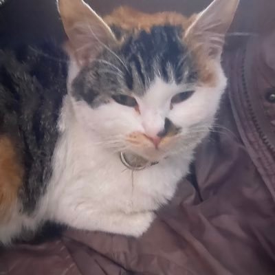 coJ0j35FfAVwuQy's profile picture. 还行