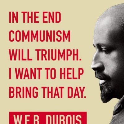 Curly Haired Comrade Profile