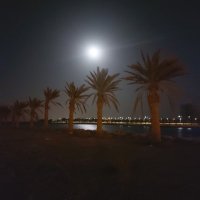 غادة فؤاد (@ghadah_f_) Twitter profile photo