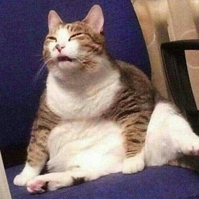 Bigislandtaco's profile picture. thankfully ex-woke. I don’t read my mentions because I don’t care what you think