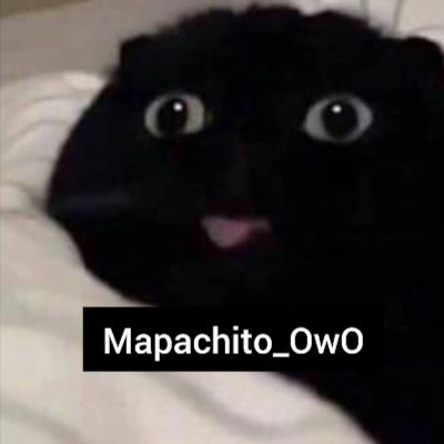 MapachitoN's profile picture. 
