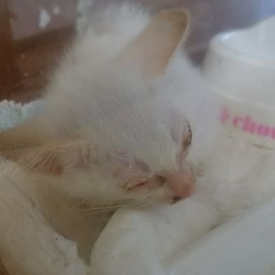 yoko_t322's profile picture. 副業、融資、資金調達など、情報ありましたら。教えて頂きたいです😢#副業　#融資　#お金