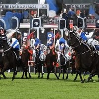 Michelle Pierce 998539.bnb (@michell76812422) 's Twitter Profile